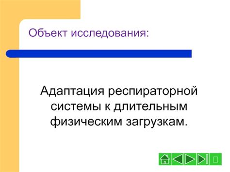 Адаптация к длительным циклам