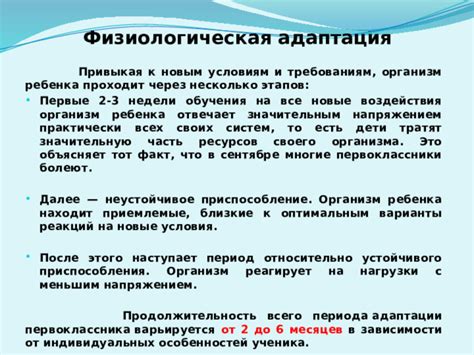 Адаптация к новым требованиям: переквалификация и дополнительное образование