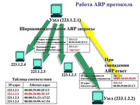 Адресация и маршрутизация