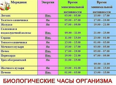 Активность, шумность, количество времени