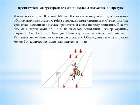 Алкоголь и вождение велосипеда: что говорит законодательство?