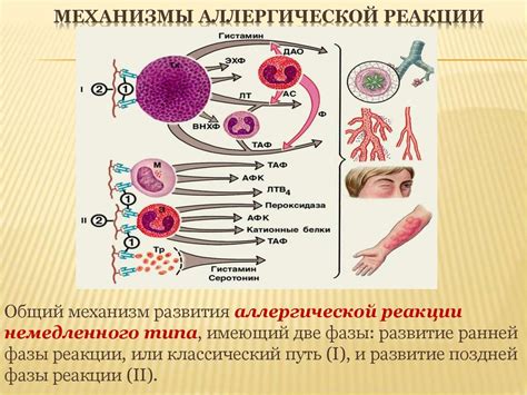 Аллергические реакции и их влияние на состояние ногтей