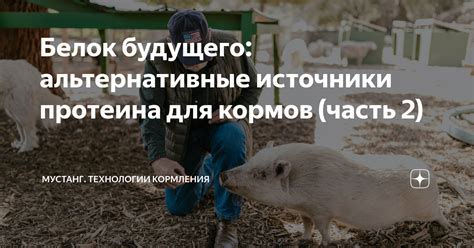 Альтернативные варианты кормления с использованием риса