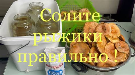 Альтернативные методы засолки рыжиков: сравнение и рекомендации