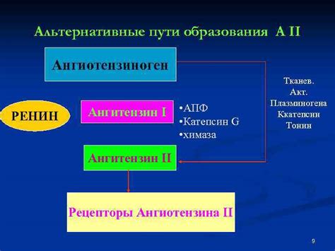 Альтернативные пути образования