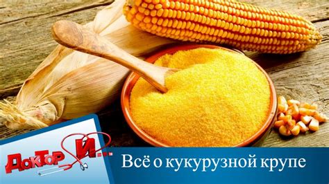 Альтернативы кукурузной крупе для разнообразного питания кур