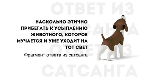 Альтернативы усыплению животного