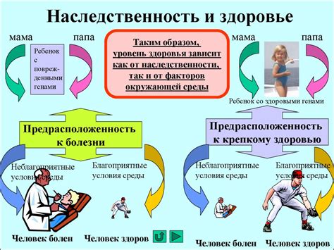 Анализ поведения и образа жизни