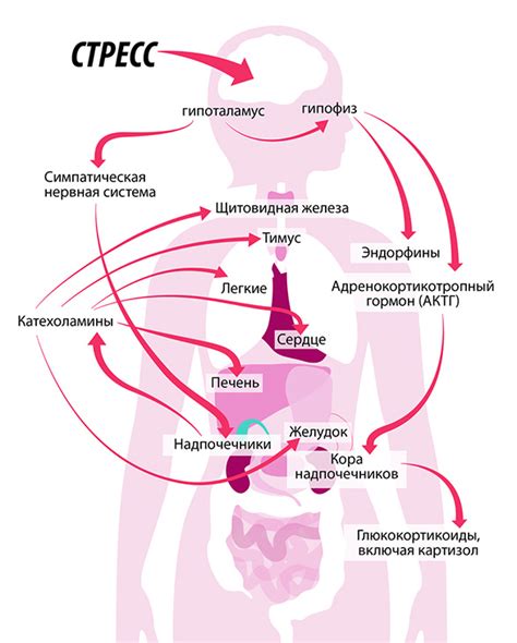 Аномальные реакции организма на стресс