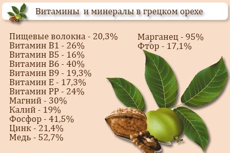 Антиоксиданты в грецких орехах: защита для мамы и малыша