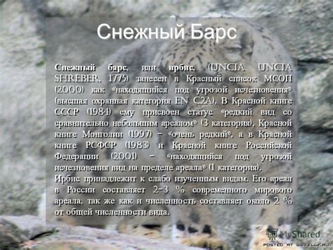 Барс в красной книге: оценка статуса видового восстановления