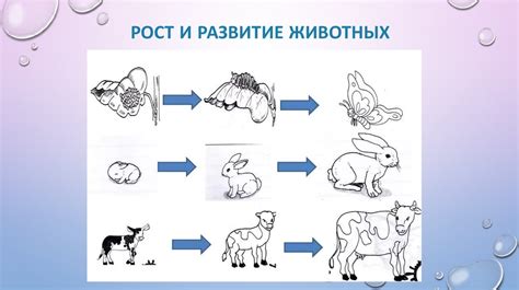 Без независимости невозможен рост и развитие