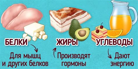 Белки запеченной курицы и их роль в похудении