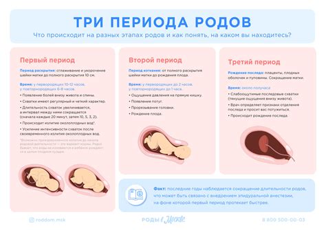 Беременность и период после родов