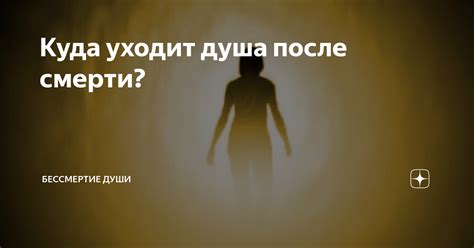 Бессмертие души: кого населяет после смерти?