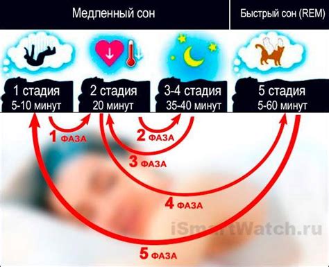 Биологические изменения при отсутствии сна в течение суток