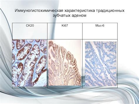 Биологические и генетические особенности ужей и гадюк