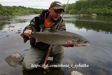 Благоприятное время для ужина