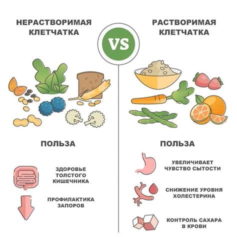 Богатство клетчаткой