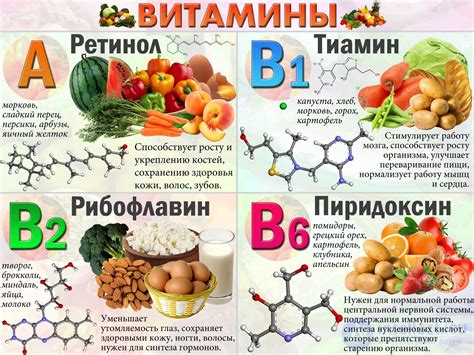 Богатство питательными веществами: витамины и минералы в семечках