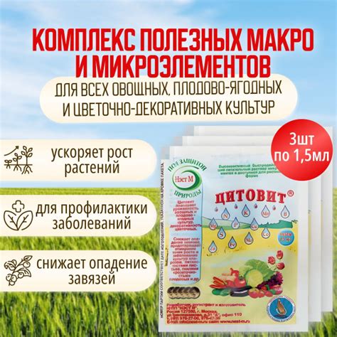 Богатый комплекс макро- и микроэлементов в картофельных очистках