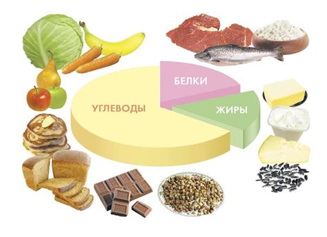 Богатый состав и питательные вещества