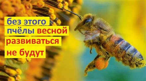 Больше ресурсов для развития весной