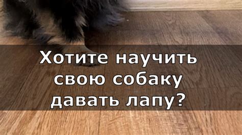 Быстро и легко: пошаговая инструкция