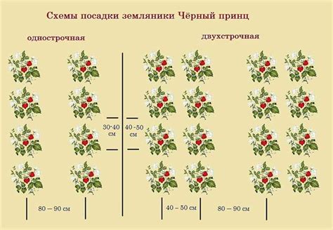 Важность выбора правильного места для посадки