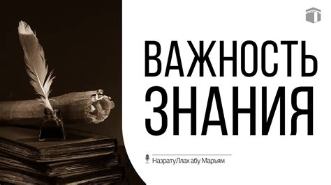 Важность знания сроков ответа