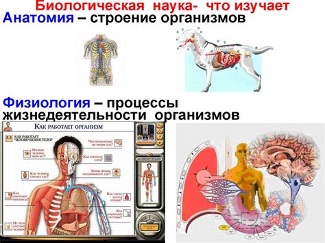 Важность изучения организма человека