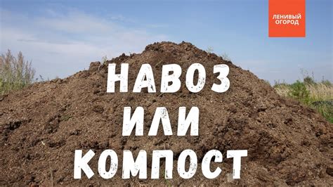 Важность использования навоза для растений