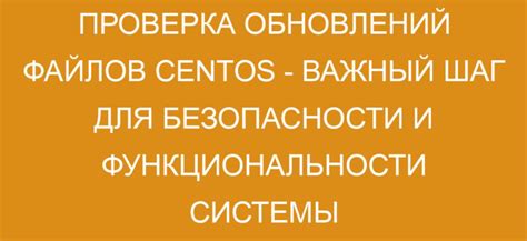 Важность обновлений браузера: почему необходимо регулярно обновлять программу