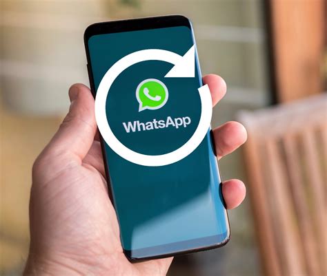 Важность обновления WhatsApp на телефоне Honor