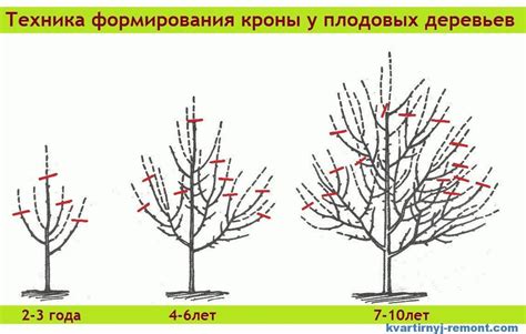 Важность обрезки растений