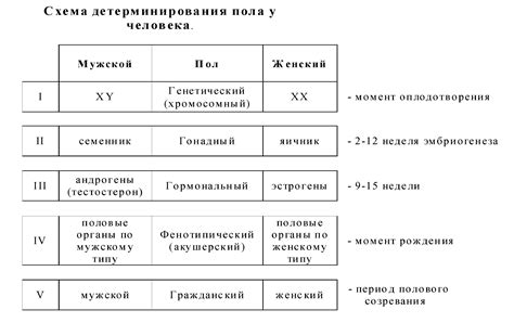 Важность понимания и обнаружения измененного количества хромосом