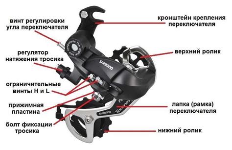 Важность правильной настройки скоростей на фэтбайке