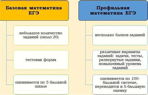 Важность профильной математики в педагогическом образовании