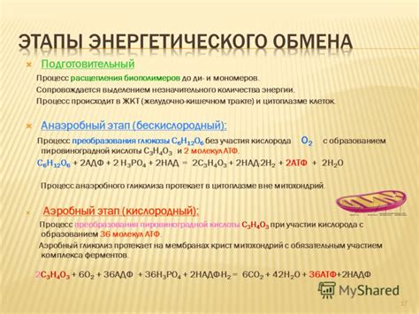 Важность сахара для энергетического обмена