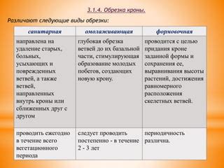 Важность удаления старых, поврежденных и больных побегов