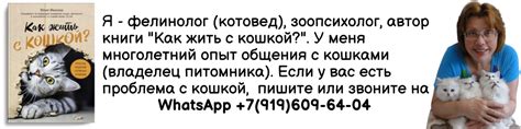 Важные моменты в уходе за кошкой во время течки