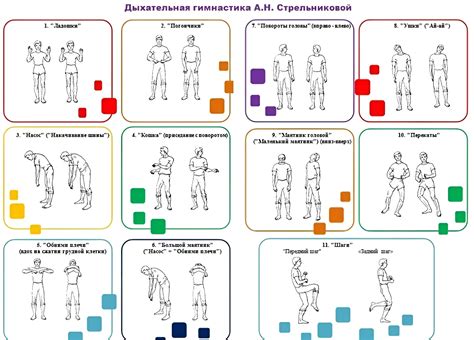 Важные упражнения для развития дыхательной системы