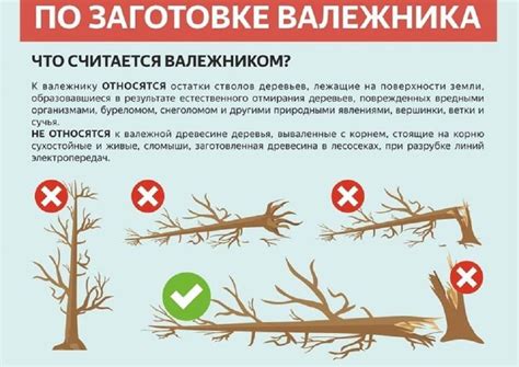 Валежник как топливо: возможно ли использовать его на дрова?