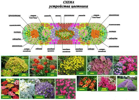 Варианты посадки