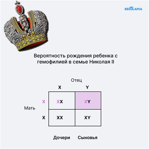 Вероятность рождения русого ребенка