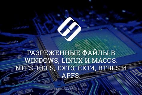 Версия Linux: важные аспекты