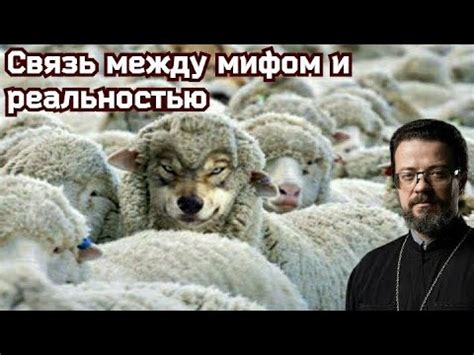 Вечерний рост: между фактом и мифом