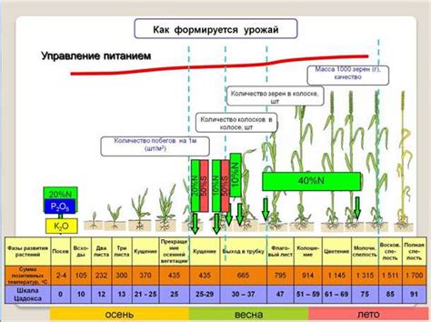 Взаимное влияние на урожайность