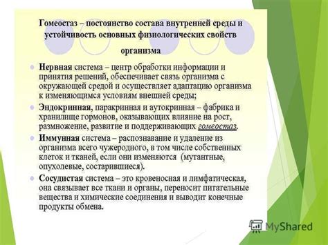 Взаимодействие препарата с центральной нервной системой