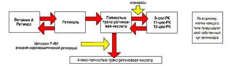 Взаимодействие хитозана с хромом с другими веществами